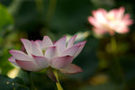IMGP5061