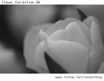 IMGP1261