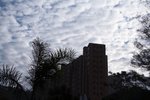 IMG_4981-1