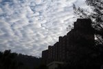 IMG_4982-1