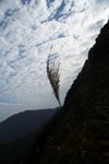 IMG_4998-1