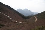 IMG_5030-1