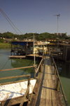 IMGP7984