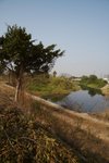 IMG_8547
