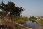 IMG_8548