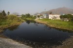 IMG_8550