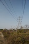 IMG_8555