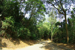 IMGP2056