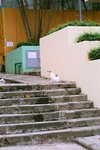 FR_ (12)
