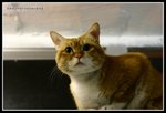 IMG_7146