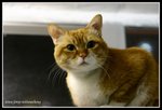 IMG_7147