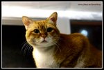 IMG_7148