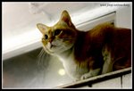 IMG_7149
