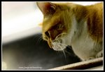 IMG_7150