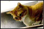 IMG_7152