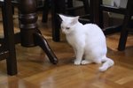 IMG_8577