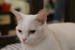 IMG_8602