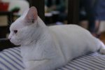 IMG_8603