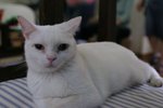 IMG_8604