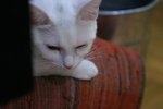 IMG_8615