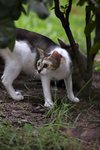 CRW_1442