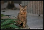 IMG_8484