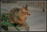 IMG_8494