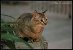 IMG_8495
