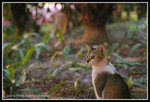 IMG_8511