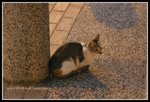 IMG_8538