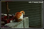 b_PICT2992