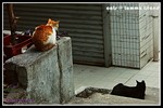 b_PICT2993
