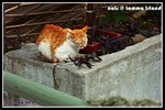b_PICT2994