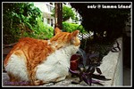 b_PICT3001