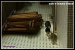 b_PICT3007