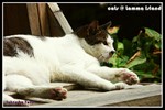 b_PICT3011