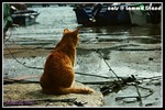 b_PICT3104