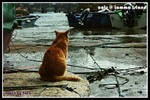 b_PICT3105