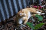 IMG_3872
