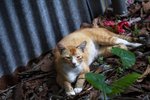 IMG_3877