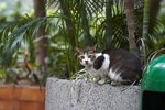 IMG_4281-1