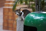 IMG_4284-1