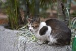 IMG_4289-1