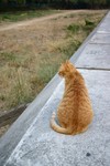 IMG_3034