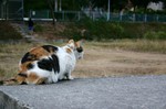 IMG_3081