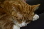 IMG_3953