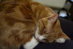 IMG_3957