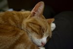 IMG_3962