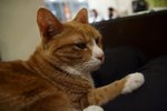 IMG_3965