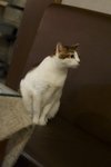 IMG_3968